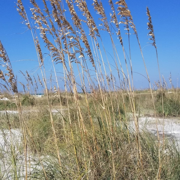Meet your Posher, Jasmine🦊🌻🍄🥧🍁🍂🐿🦔🦝📚🕯☕🥾👩🏽🌾 - Picture 10 of 16